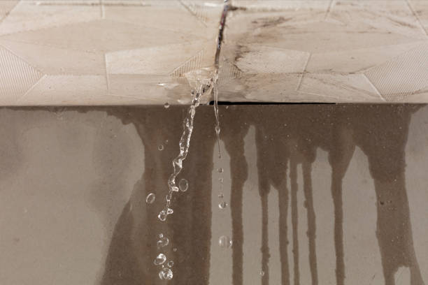 Professional Structural Drying technician working in Plymouth, UT